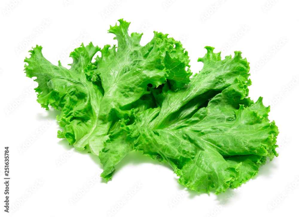 lettuce lettuce