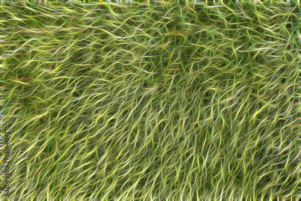 abstract texture green grass abstract texture green grass