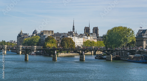 View on the Cite island on river Seine and bridge