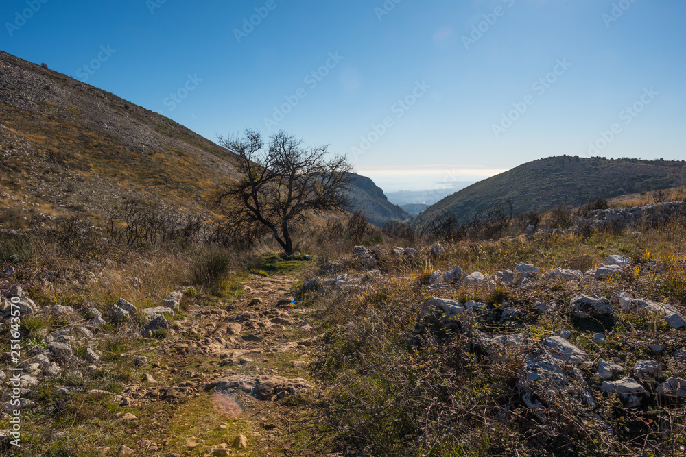 View of the azure coast from a height of 1000