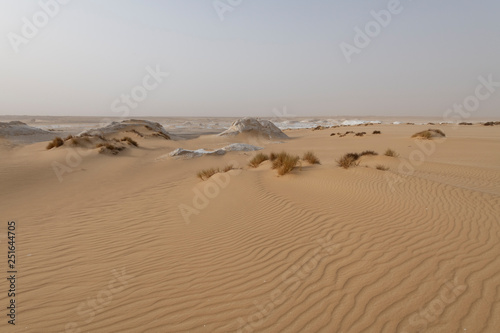 A sandstorm giving a mysterious atmosphere to the already bizarre landscapes of the White Desert National Park in Egypt