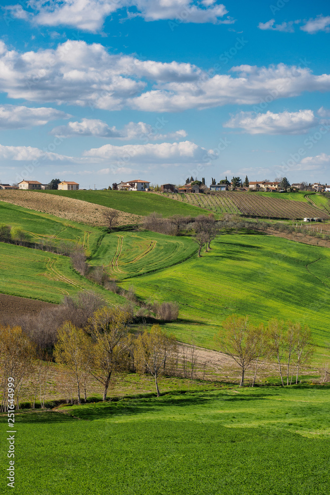 Obraz premium Countryside around the town of Montefalco in Umbria (Italy). Portrait format.