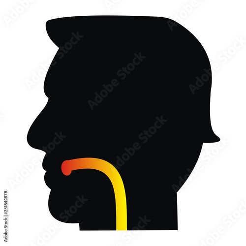 upper respiratory tract, health care, silhouette of human head, vector icon
