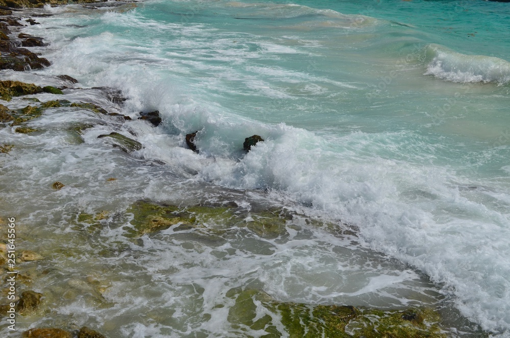 Fototapeta premium waves crashing on the mexican coast