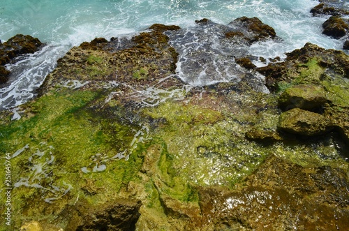 rocky coastline in mexico © luke p ferguson