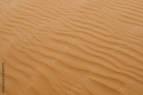  desert texture background - Image