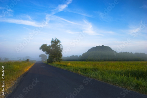 Village road in the morning