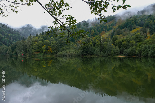 beautiful landscape with lake and misty forest