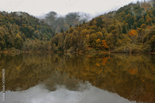 lake and misty forest in mountains in a rainy day