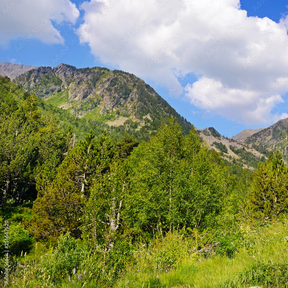 Picturesque mountain landscape,meadow, hiking trail and beautiful sky.
