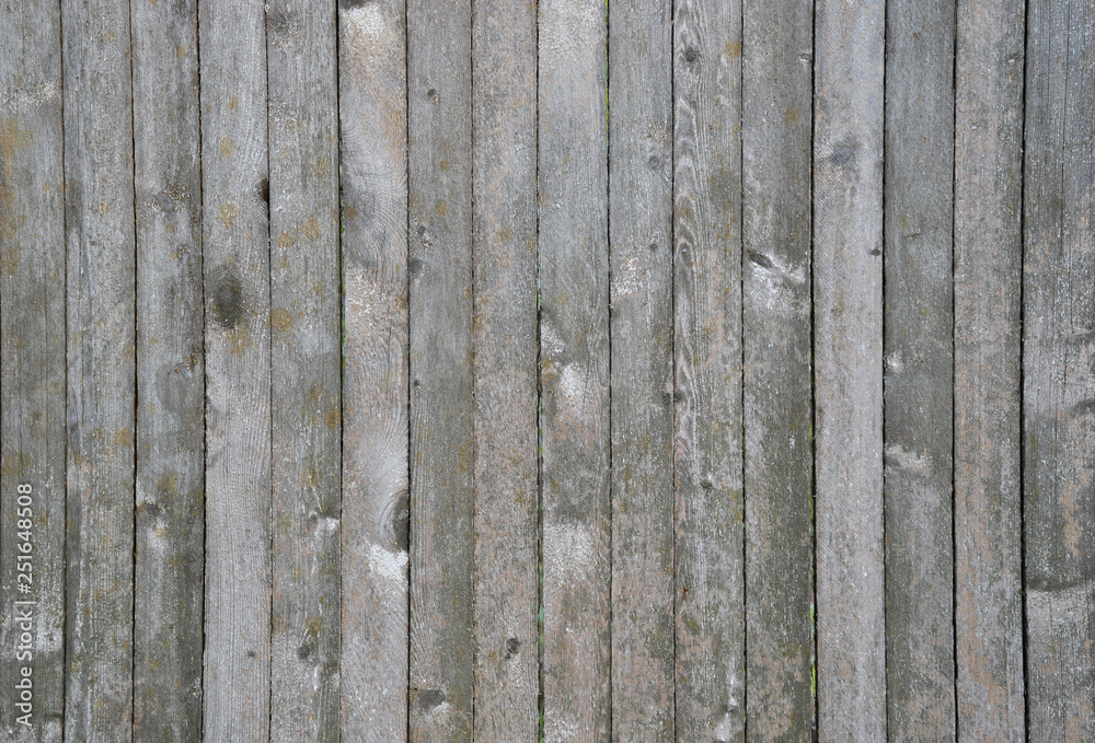 gray wood texture background gray wood texture background