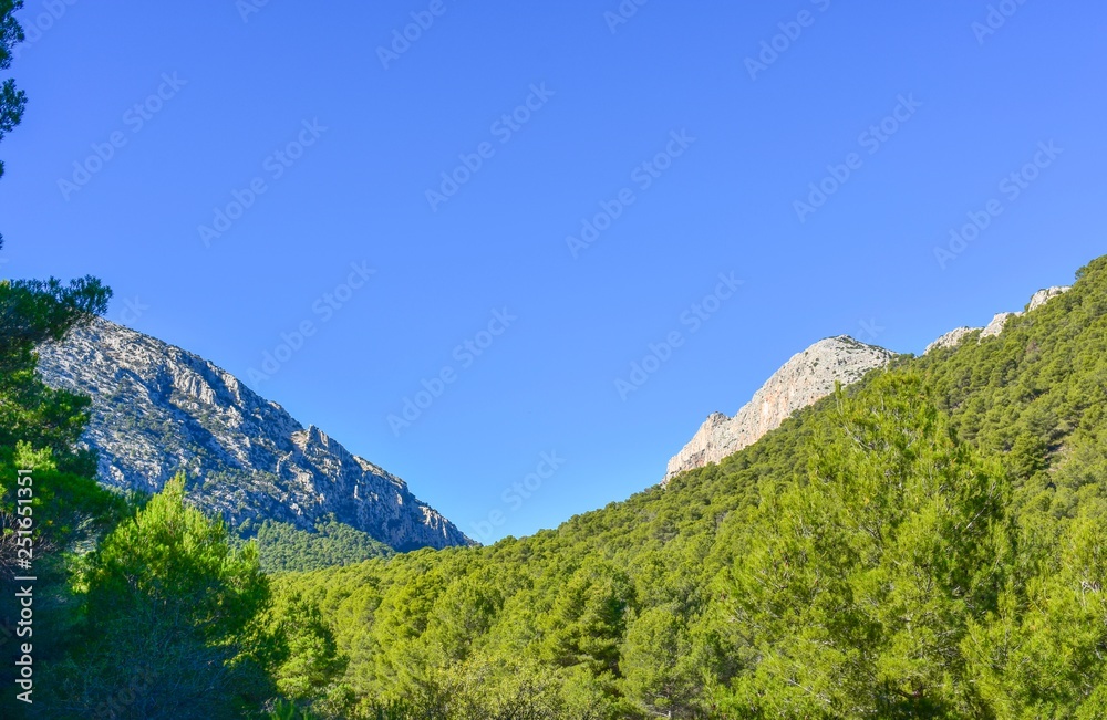 Two rocky peaks emerge from a forest of evergreen trees under a blue sky in southern Spain