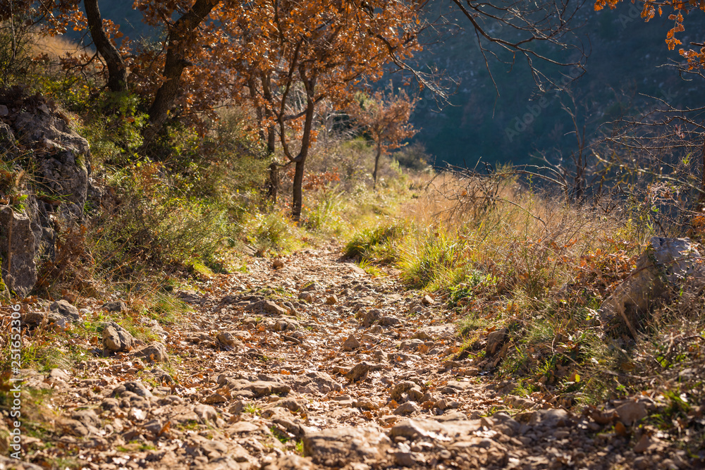 Mountain paths, alpine paths Mountain paths, alpine paths