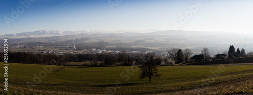 Nebel über Weinfelden photo