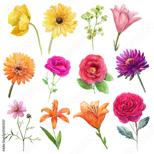 Watercolor set mexican flowers-yellow poppy,orange gerbera,purple astra,pink and red roses,orange lilies