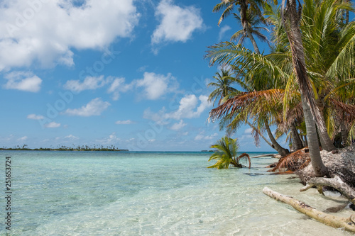 Fototapeta Naklejka Na Ścianę i Meble -  palm trees on tropical islands beach
