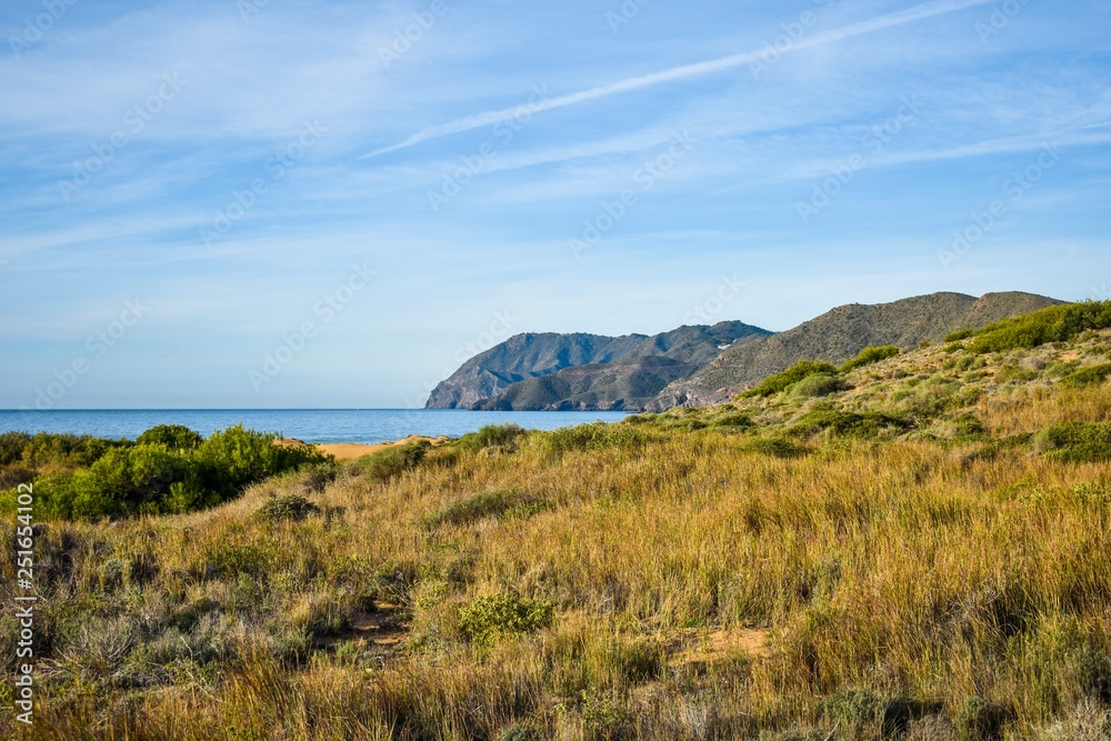 A grassy field leads to the beach with the blue water of the Mediterranean and a distant cliff on the edge of the water