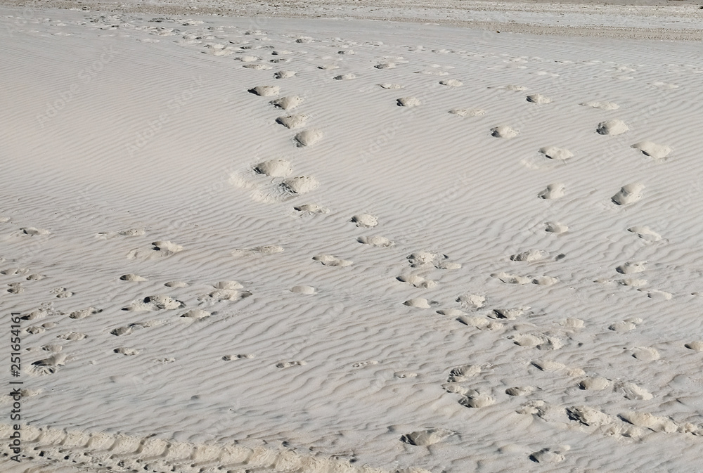 footprints in the sand on the beach footprints in the sand on the beach