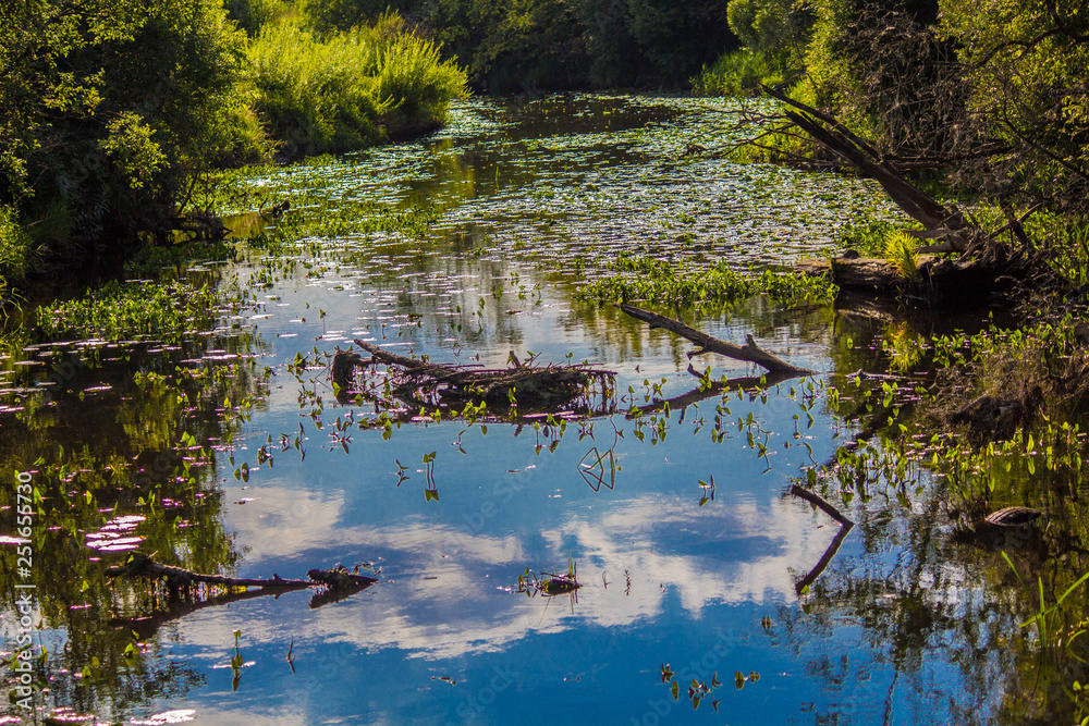 Rive with sky reflection