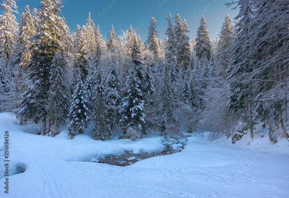 Fototapeta premium Beskid Żywiecki 2019