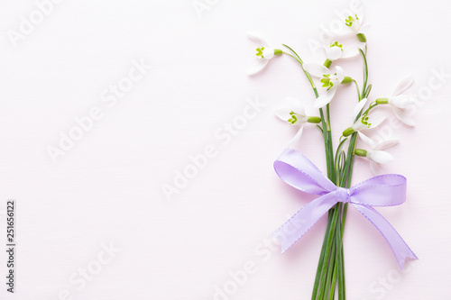 Fresh snowdrops on pink background with place for text. Spring greeting card. © gitusik