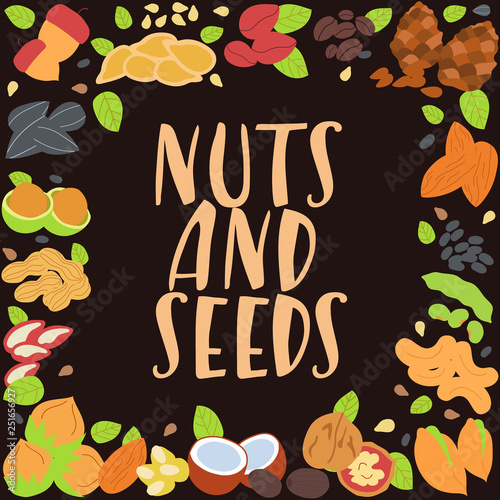 Modern hand drawn frame with different nuts and seeds. Organic healthy food concept. Vector background for your design