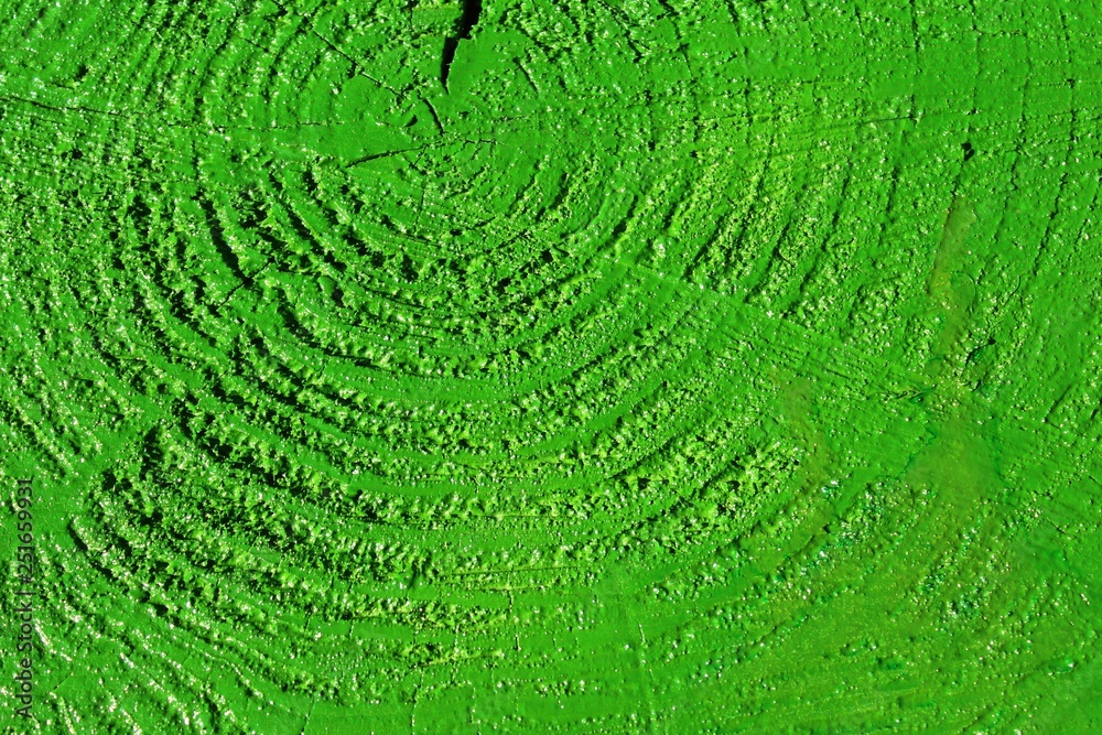 grüner Holzhintergrund