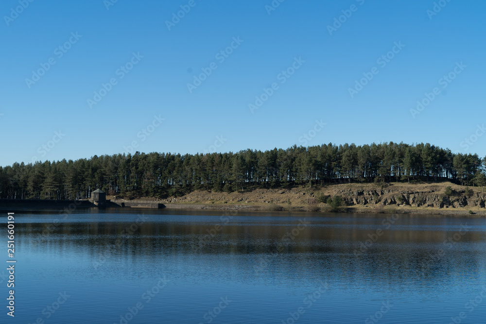 Lake and Forest Landscape Lake and Forest Landscape