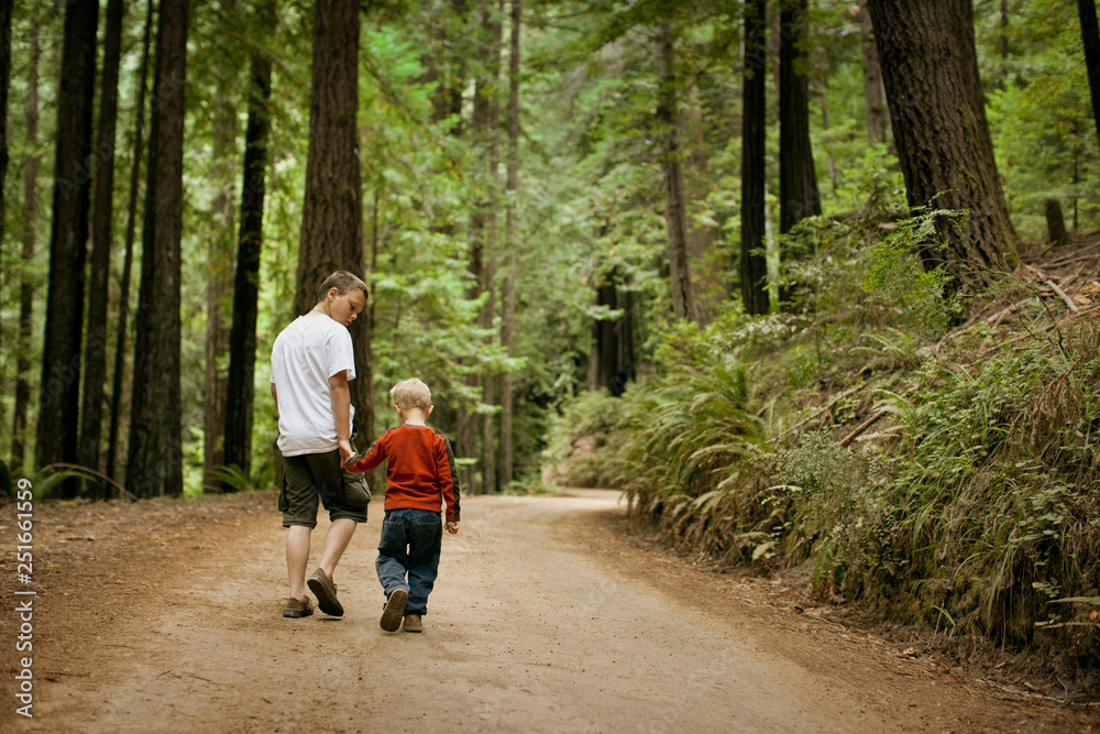 Two brothers walking hand-in-hand through a forest. Two brothers walking hand-in-hand through a forest.
