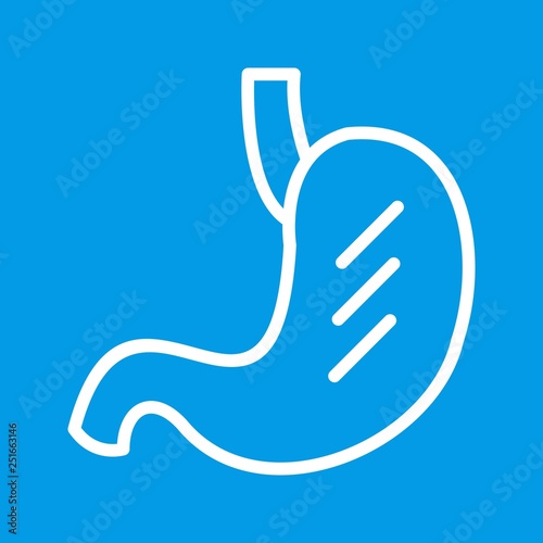 Vector Stomach Icon