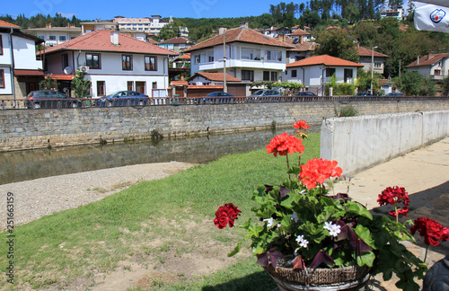 Roses blooming in Tryavna (Bulgaria) photo