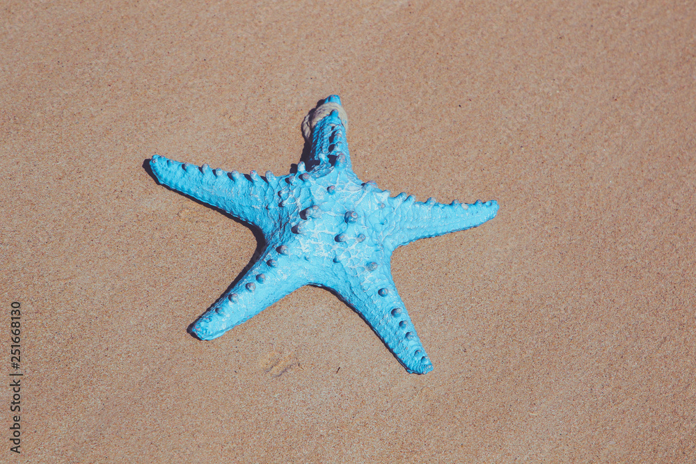 Flat lay blue starfish on the sand Flat lay blue starfish on the sand