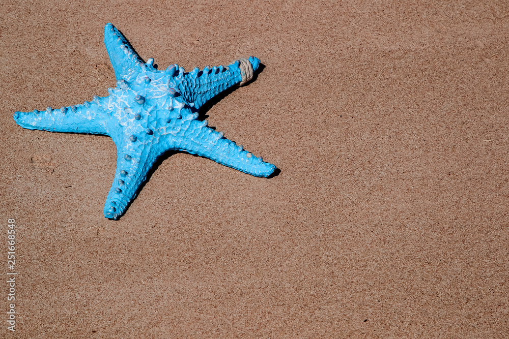 Flat lay blue starfish on the sand Flat lay blue starfish on the sand