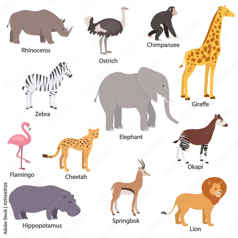 ilustração de tigres, zebras e rinocerontes no zoológico, adequado para  livros de histórias infantis, pôsteres, sites, aplicativos móveis, jogos,  camisetas e muito mais 13128119 Vetor no Vecteezy