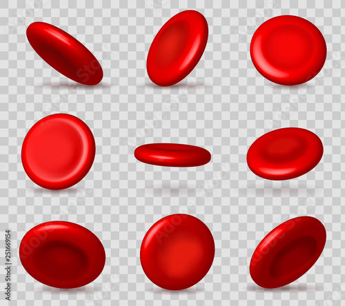 Creative vector illustration of red blood cells stream, microbiological medical erythrocyte isolated on white transparent background. Art design medicine. Abstract concept graphic science element