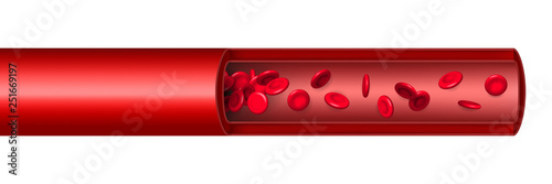 Creative vector illustration of artery red blood cells stream flow, microbiological medical erythrocyte vessel isolated on background. Art design medicine. Abstract concept graphic science element