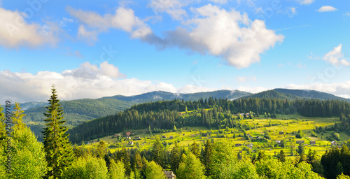 Slopes of mountains, coniferous trees and clouds in the evening sky. Wide photo .