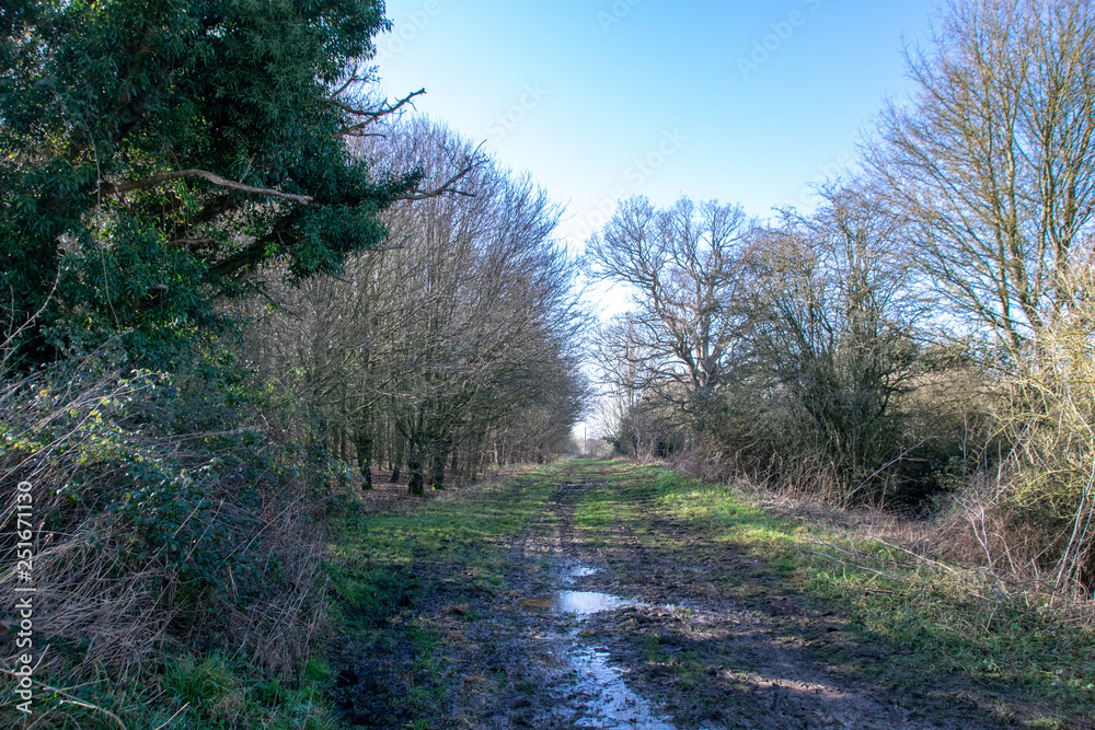 Countryside footpaths on a warm winter sunny day in February, Hertfordshire, UK