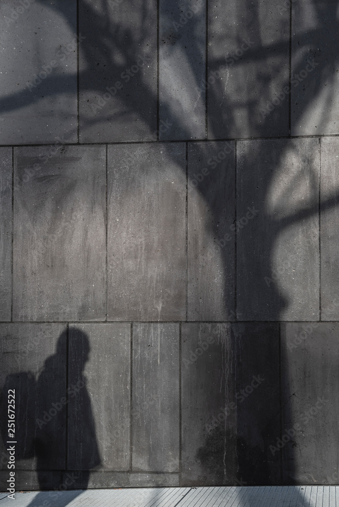 Man and tree shadow reflected on a concrete wall