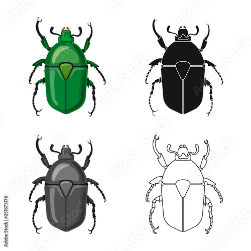 Isolated object of insect and fly sign. Collection of insect and element stock symbol for web.