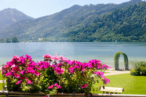 Beautiful Landscape with Mountains, Lake and Pink Flowers