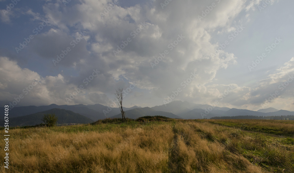 Mountain view