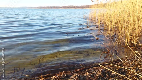 Water splashes on the shore of a lake photo