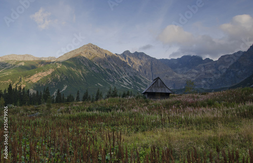 House in the mountains