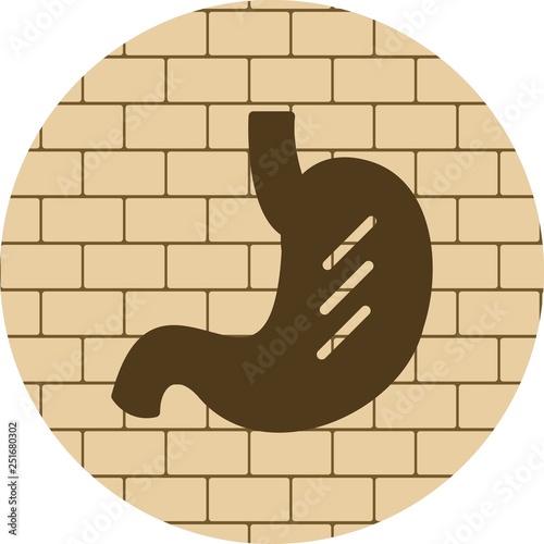 Vector Stomach Icon