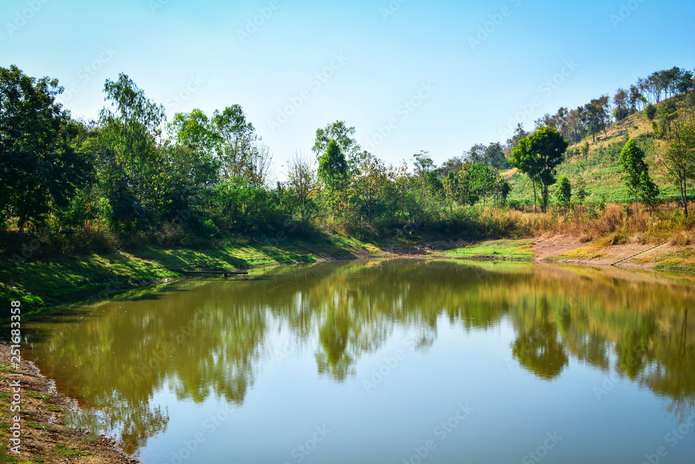 Pond on summer season forest with agricultural area and mountain background sunny day