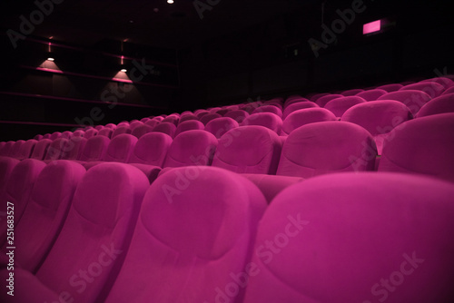 pink seats 