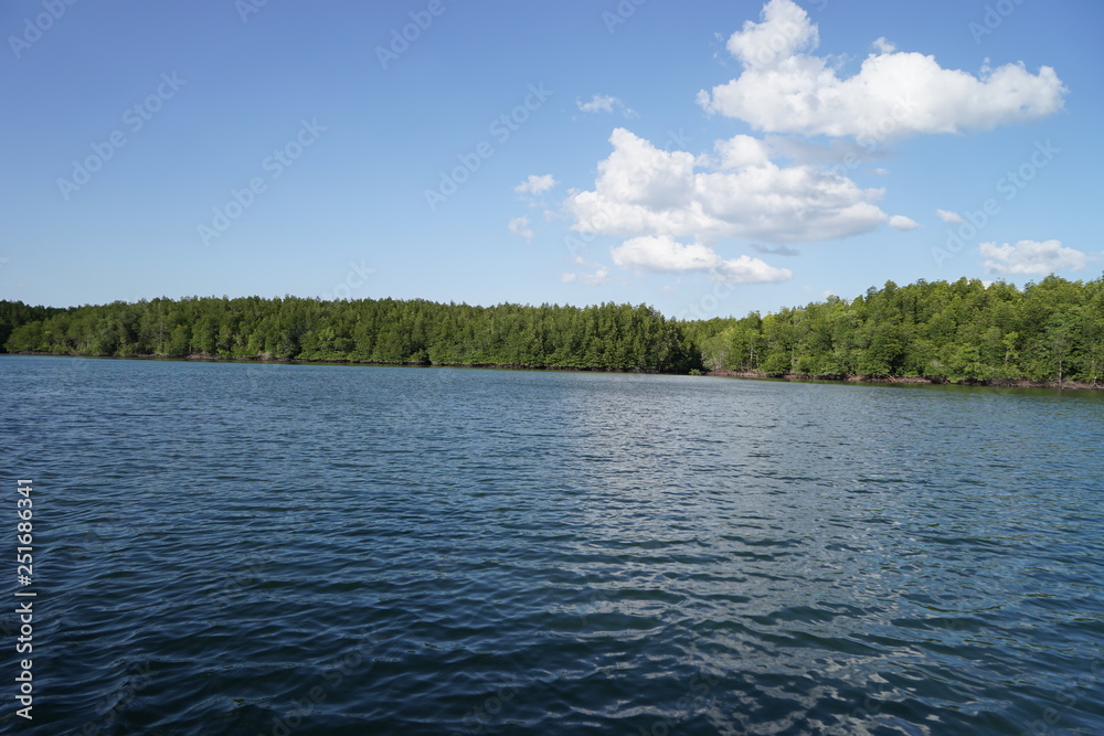 landscape with river and blue sky