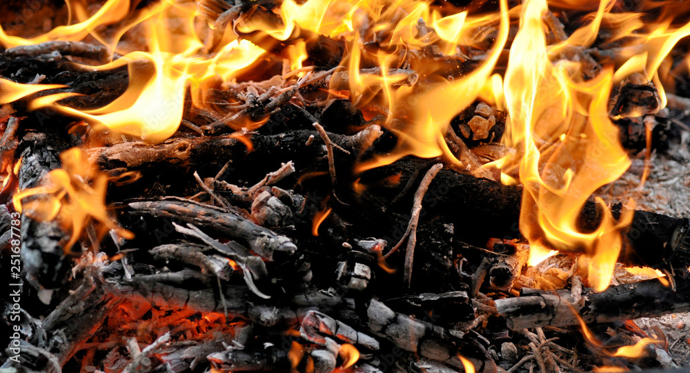 Fire. Wood burning in the fire. Orange flame. Tongue of flame Fire. Wood burning in the fire. Orange flame. Tongue of flame