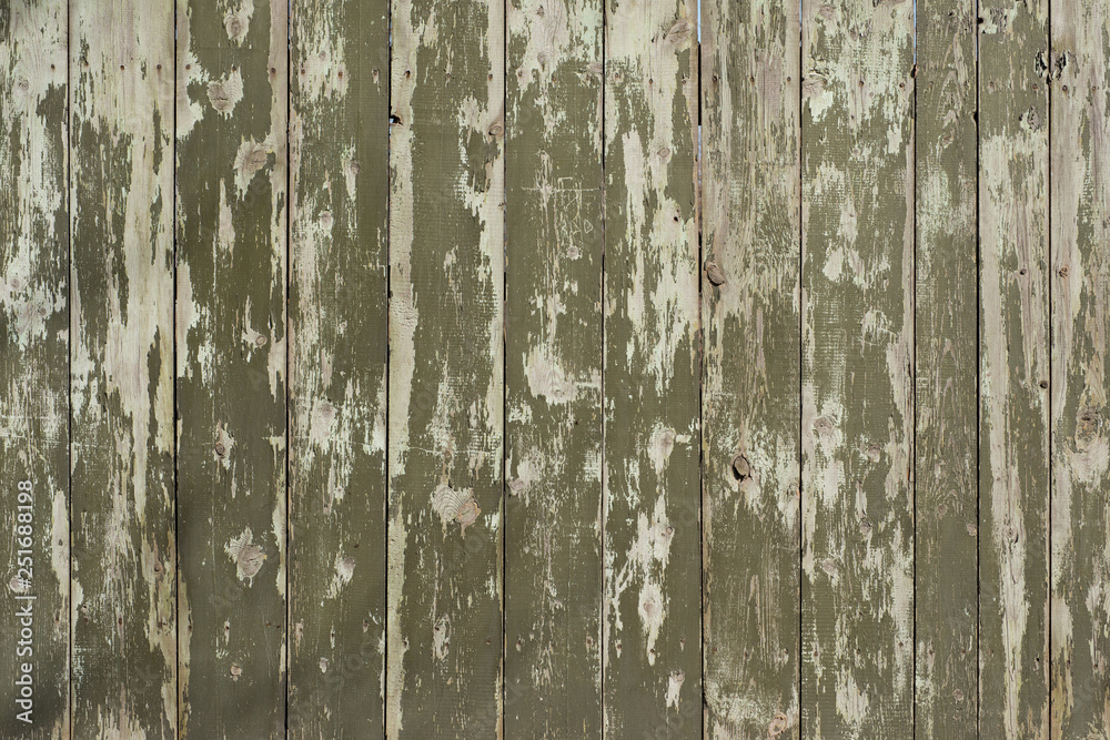 Obraz premium Wooden fence covered with old green and grey paint. For design, banner and layout
